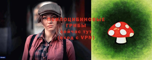 гидра Бронницы