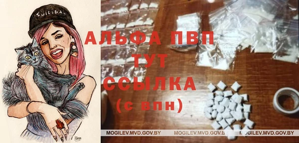 соль курить ск Бородино