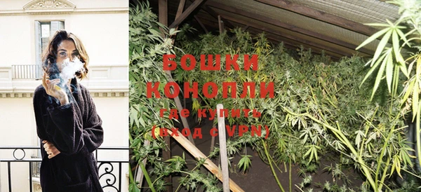 гидра Бронницы