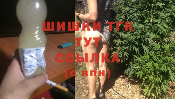 гидра Бронницы