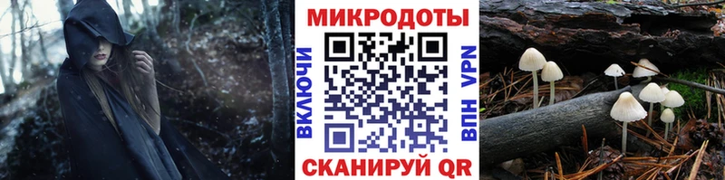 МЕГА рабочий сайт  Берёзовка  shop как зайти  Псилоцибиновые грибы Psilocybine cubensis 